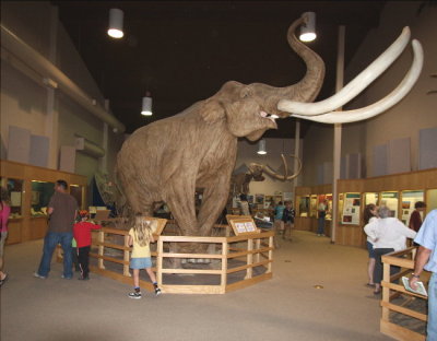 2 Mammoth Site display
