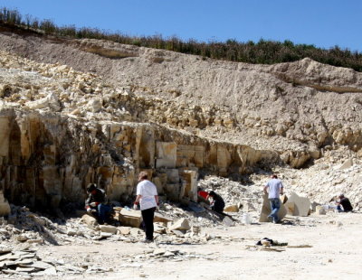 1 Warfield Fossil Dig 1