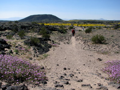 Trail to Amboy crater