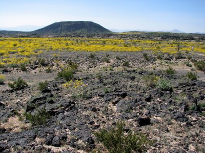 Amboy crater