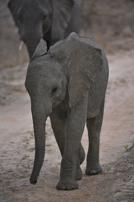 Mommy's Watching !