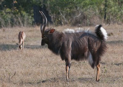 Njala - Turning On The Girls !!!