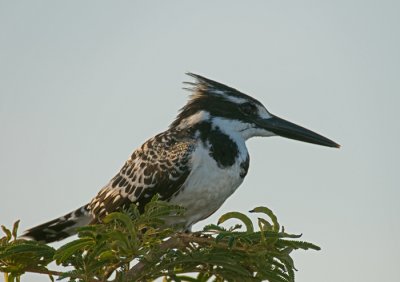 Kruger National Park