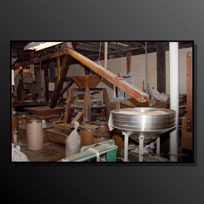 Old Mill-10.jpeg