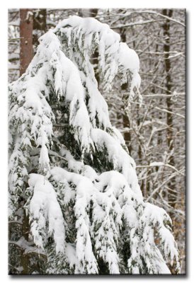 Winter in New Hampshire - 2008