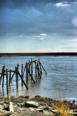 IMG_0393.jpg