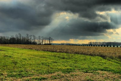 IMG_1143.jpg