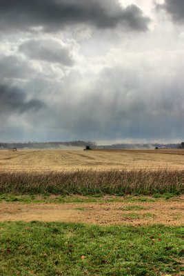 IMG_1200.jpg