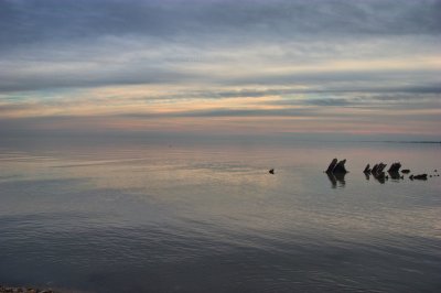 CRW_2228.jpg