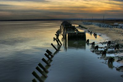 IMG_1954.jpg