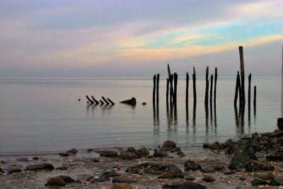 IMG_1990_7.jpg