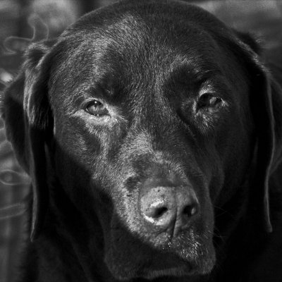 CRW_1118.jpg