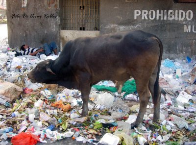 Seres humanos en la basura .Barranquilla ,Colombia