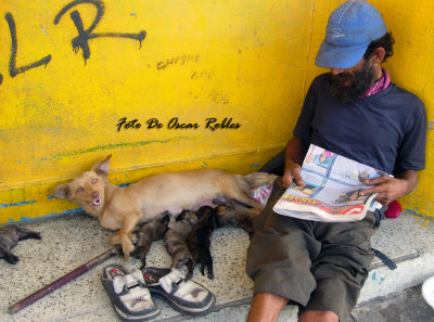 El lado bonito de la miseria