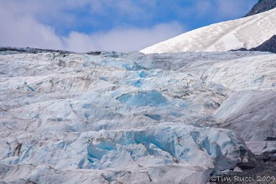 68981 - Worthington Glacier