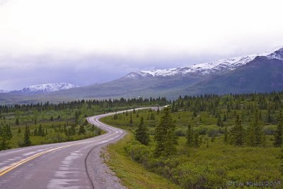 67082  - The Park Road, Denali NP