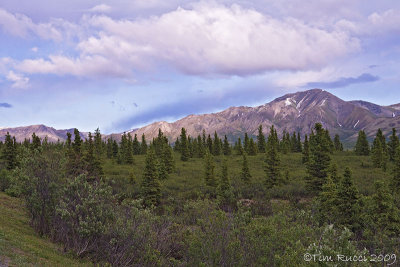 67105 - Denali NP