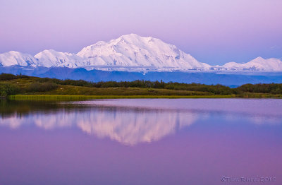 40-13459 - Mt McKinley at Dawn