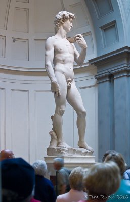CRW-40827 - Michelangelo's David