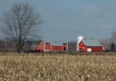 February-19-08-Barns-002.jpg