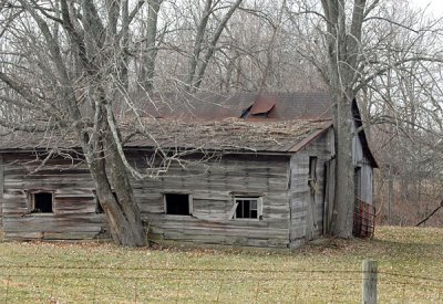 February-19-08-Barns-041.jpg