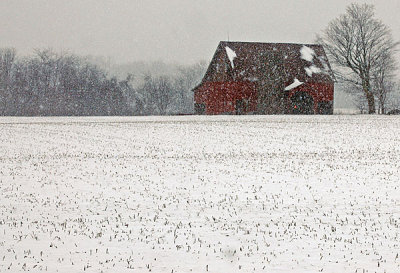 February-24-08--Birds-and-b.jpg