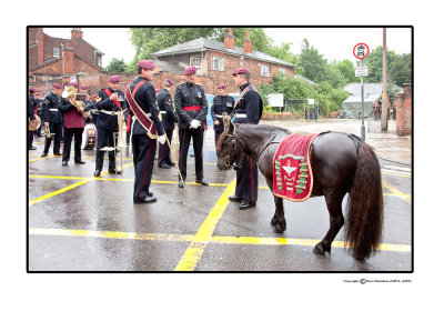 If you are as wet as I feel.  The brigade mascot, Shetland Pony