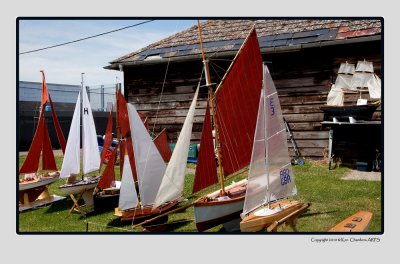 The Boat Yard