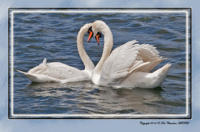 Love on the Lake