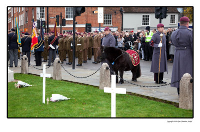 Field of Remembrance