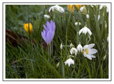 IMG_4993 X.jpg