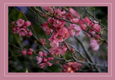 IMG_4999 X.jpg