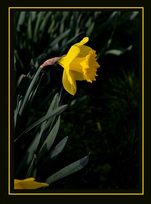 IMG_5184 X.jpg