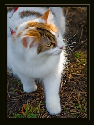 IMG_5157 X.jpg