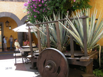 DSCN0589.JPG