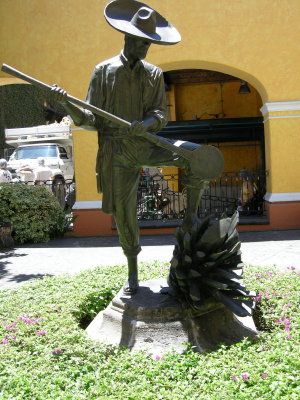 DSCN0595.JPG