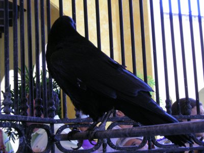 DSCN0597.JPG