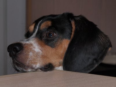 PC241905a.jpg