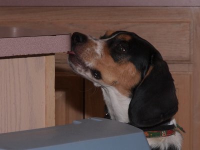PC241909a.jpg