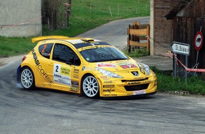 HOTZ Gregoire / RAVASI Pietro Peugeot 207 S2000