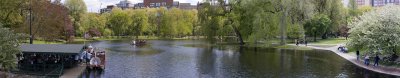 Public Garden Boston Panorama