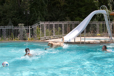 Teddy goes swimming!