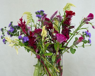 Studio flowers with light background