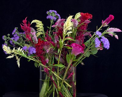 Studio flowers with dark background