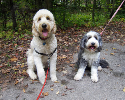 Teddy meets Annie