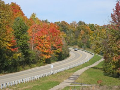 Colourful drive through the park