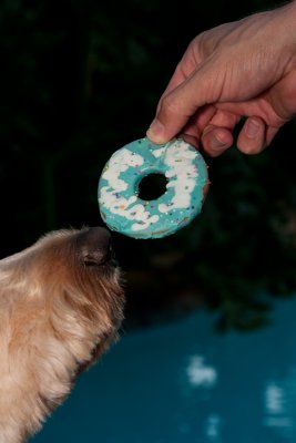 Teddy's 4th Birthday