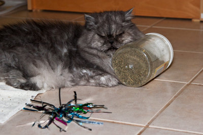 Too much catnip?