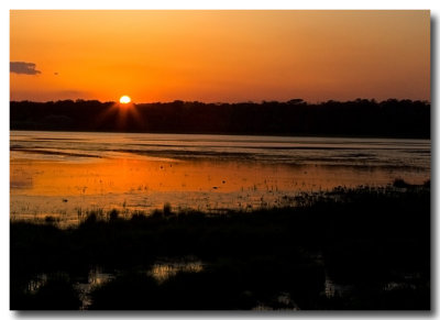 Chincoteague sunset