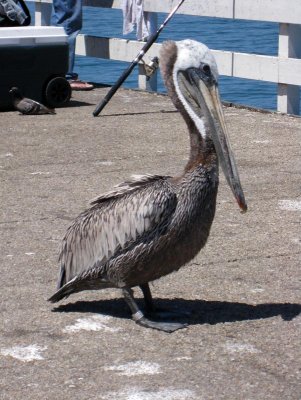 IMG_5558.jpg